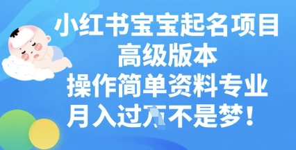 小红书宝宝起名项目高级版本,操作简单,资料专业,月入过W-轻创星学院_副业资源库:每日更新自媒体运营与创业教程