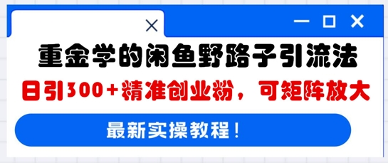 重金学的闲鱼野路子引流法，日引300+精准创业粉，可矩阵放大-轻创星学院_副业资源库：每日更新自媒体运营与创业教程