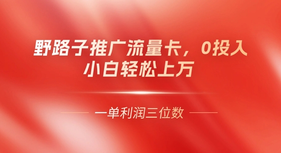 0门槛推广流量卡，一单收益上百，0投入，小白月入过W-轻创星学院_副业资源库：每日更新自媒体运营与创业教程