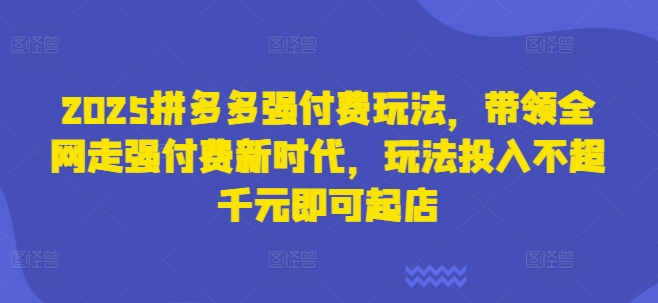 2025拼多多强付费玩法，带领全网走强付费新时代，玩法投入不超千元即可起店-轻创星学院_副业资源库：每日更新自媒体运营与创业教程