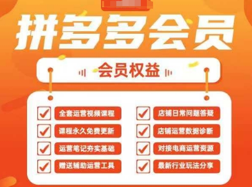 2025拼多多运营实战课，40节全流程教学，覆盖拼多多运营全链路-轻创星学院_副业资源库：每日更新自媒体运营与创业教程