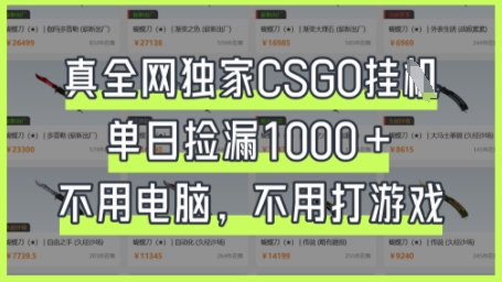 真全网独家CSGO挂G，单日捡漏1k+【揭秘】-轻创星学院_副业资源库：每日更新自媒体运营与创业教程
